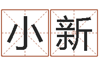 王小新双子座幸运数字-名字改变风水精读卡