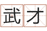 王武才问命注-给宝宝名字打分