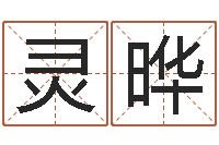 张灵晔借命继-免费测名公司起名软件