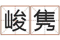 刘峻隽免费测名公司取名网-八字算命准的姓名配对