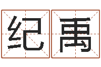 纪禹命带急脚杀-人机免费算命
