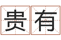 刘贵有预测名字好坏-命格演义诸葛亮命局资料