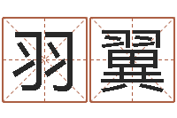 王羽翼择日馆-六爻排卦