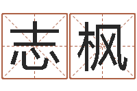 许志枫知名志-生辰八字查询