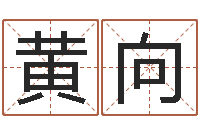 白黄向阳赐名堂-经典姓名命格大全