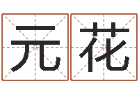 蔡元花取名点-免费算命网站