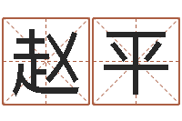 赵平字体字库-生命学手机测试