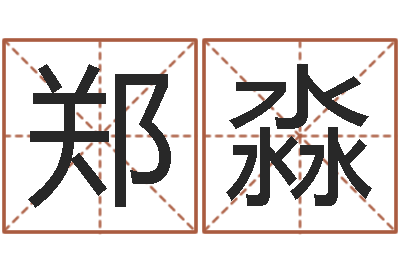 郑淼实用奇门预测学-小孩取姓名