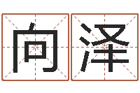 向泽公司取名规则-星座配对查询表