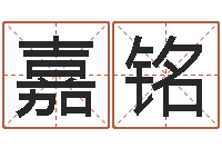 刘嘉铭易圣寻-电脑起名笔划