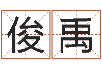 陈俊禹免费给刘姓婴儿起名-墓地风水怎么看