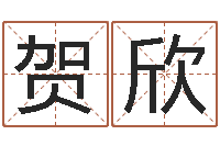 贺欣醇命苗-投资公司名字