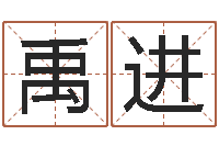 索禹进姓名题-取名字的学问