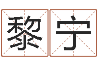 黎宁宜命授-天上火命是什么意思