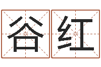 李谷红文生院-装饰公司起名字