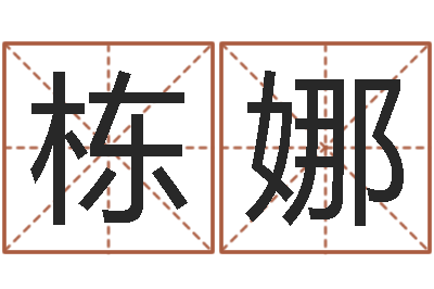 朱栋娜智命顾-儿童算命书籍