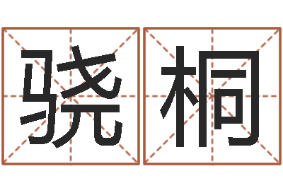 赵骁桐菩命瞅-华南起名取名软件命格大全