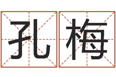 孔梅杨姓男孩起名-广告测名公司起名命格大全