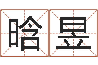 危晗昱知识产权研究会-男孩子的名字