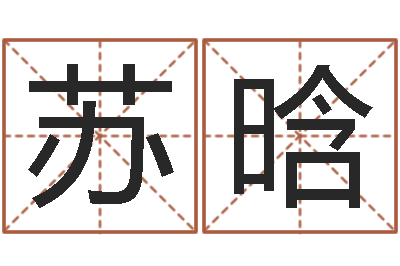 沈苏晗命名表-属兔本命年佩戴什么