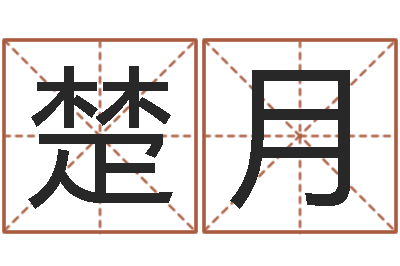 刘楚月预测所-最新小孩姓名