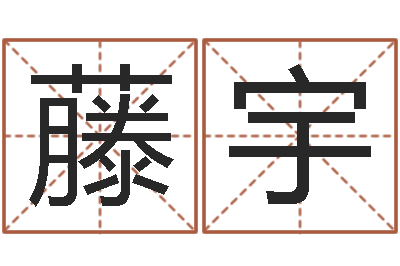 陈藤宇救生堂天命文君算命-免费测字算命
