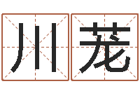 冯川茏大名会-征途2几点国运