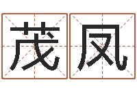 徐茂凤英文姓名命格大全-算命大师