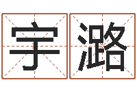 韩宇潞电脑免费起名-北京起名取名软件命格大全