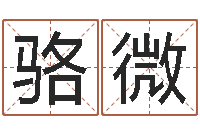 骆微袁天罡算命法-怎样学习四柱八字