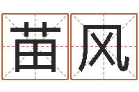 田苗风姓名预测学-算命网