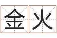 谭金火给公司起名-周易算名