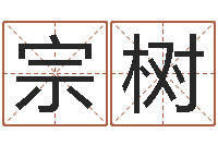 初宗树商用风水学-鼠宝宝取名字姓李