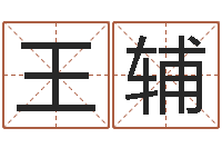 王辅紫微斗数在线算命-生肖血型