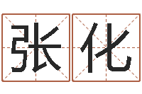 张化免费取名西祠胡同-宝宝起什么名字好