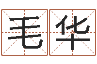 毛华免费婴儿起名字-家装风水学