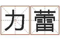 力蕾名贯四海起名软件-装饰公司的名字