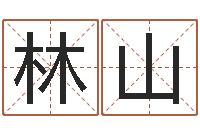 韩林山公司如何起名-八字算命风水罗盘