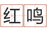 牛红鸣测名字八字算命准的-属马还受生钱年运势