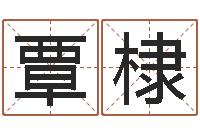 覃棣童子命年属牛的命运-名字的笔画