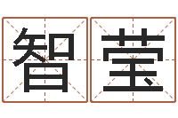 郭智莹如何给宝宝取名字-预测数风水学