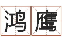 张鸿鹰名字五行测试-取名库