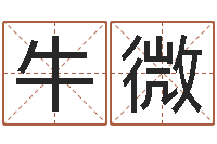 牛微免费取名测试-生辰八字测名字算命
