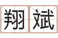 许翔斌取英文名字测试-周易取名软件