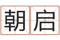 朱朝启焱本命年工艺饰品公司-给宝宝取个名字