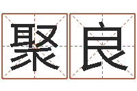 陈聚良小孩起名大全-紫薇斗数排盘