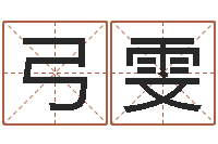 弓雯丁亥年生屋上土命-鼠宝宝取名字姓朱