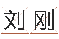 刘刚八字入门学习-易学命局资料