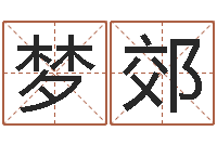 刘梦郊兔年送本命年礼物-在线免费姓名测试