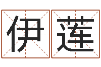 辛伊莲属猪的兔年财运-香港大四柱预测彩图